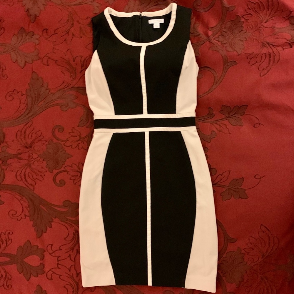 New York & Company Dress - Black with Beige